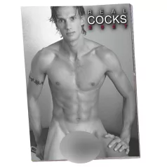 Real Cocks 2027 - erotic wall calendar (10 pcs)