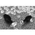 You2Toys - Diamond Silicone Anal Plug (Small)