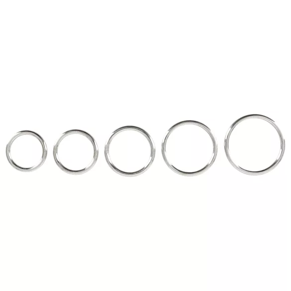 Bad Kitty - Metal Penis Ring Set (5-piece)