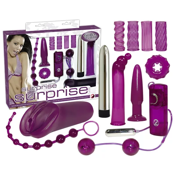You2Toys - Erotic Surprise - 12-Piece Vibrator Set