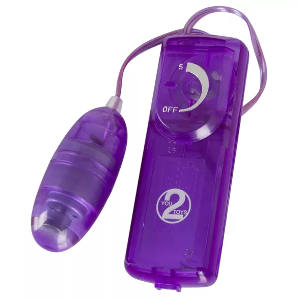 You2Toys - Purple Delight - 9-Piece Vibrator Set