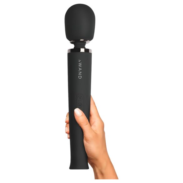 Le Wand Petite - Premium Rechargeable Massager (Black)