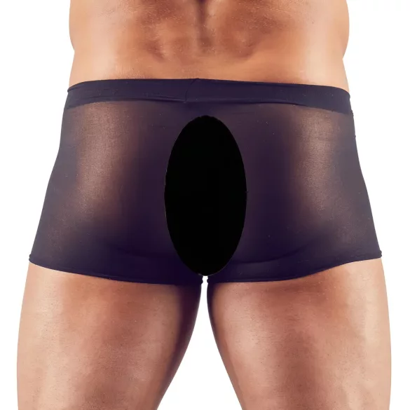 Svenjoyment - 2-piece black transparent boxer set (S-L)