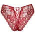 Cottelli - Open Lace Panty (Red) - M
