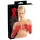 LATEX - Long Unisex Gloves (Red) - L