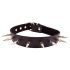 Rouge - Genuine Leather Studded Collar (Black)