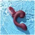Magic Motion Magic Ponder - 2in1 Clitoral Arm Vibrator (Burgundy)