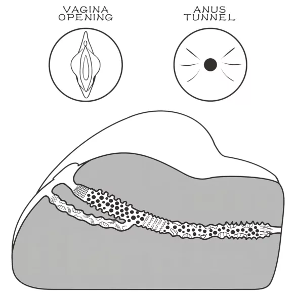 Streetgirl's Lovetoy - Realistic Torso with Vagina and Anus (Natural)