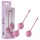 Passion Play - Kegel ball set (pink)