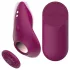 Passion Play - remote-controlled, magnetic knicker vibrator (burgundy)