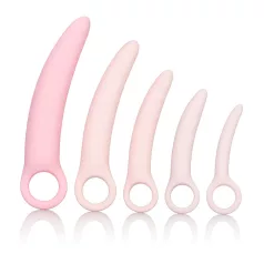   CalExotics Inspire - Health & Wellness Vaginal Dilator Set (Pink)