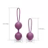 Engily Ross Kelly - 2-Piece Kegel Ball Set (Purple)