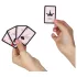 Secret Play Pocket Kamasutra - sex position card deck (54 cards)