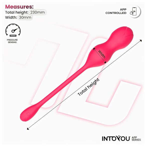 INTOYOU Kyra Pelvic - Smart Vibrating Kegel Duo (Pink)