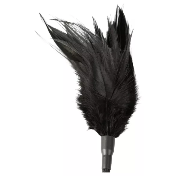 Sei Mio - Black Teaser and Tickle Paddle