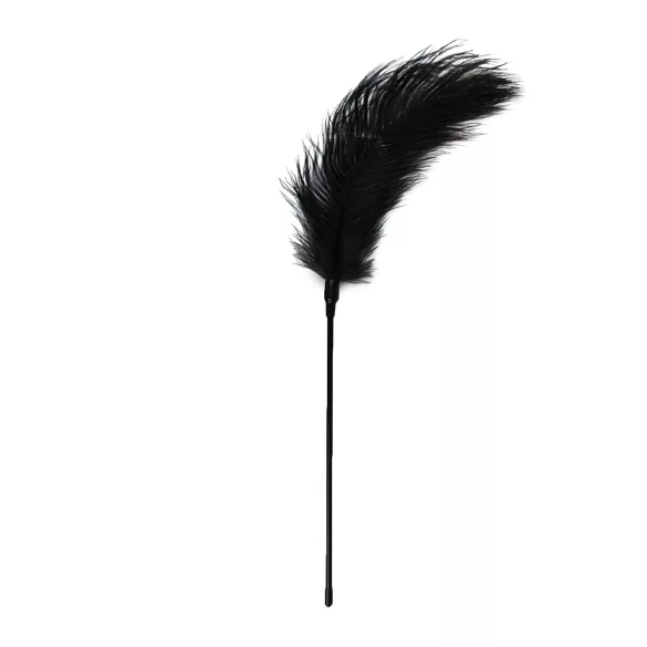 EasyToys - Long Feather Teaser (Black)