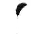 EasyToys - Long Feather Teaser (Black)