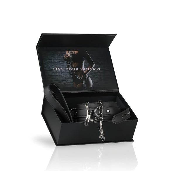 Easytoys - 4-Piece Nipple Clamp, Collar & Leash Set