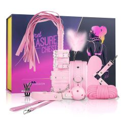 Advanced BDSM Set - 14-Piece Secret Pleasure Chest (Pink)