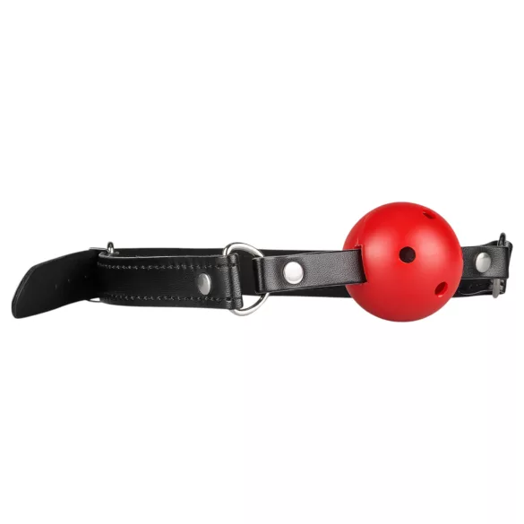 Secret Pleasure Chest - Advanced BDSM Kit - 10‑Piece (Red)