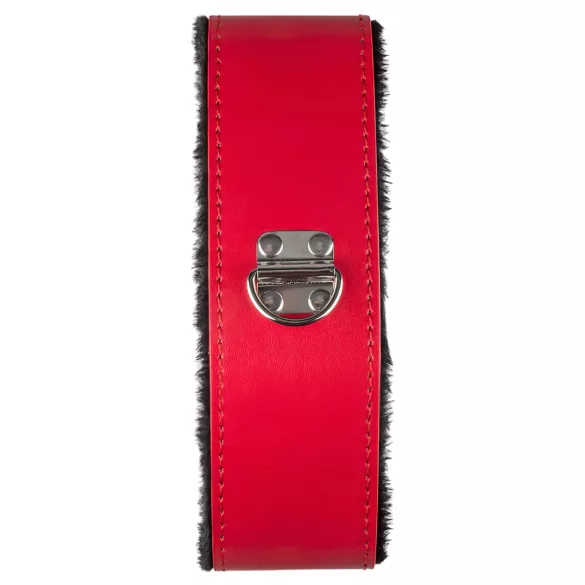 Secret Pleasure Chest - Advanced BDSM Kit - 10‑Piece (Red)