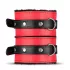 Secret Pleasure Chest - Advanced BDSM Kit - 10‑Piece (Red)
