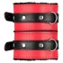 Secret Pleasure Chest - Advanced BDSM Kit - 10‑Piece (Red)