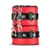 Secret Pleasure Chest - Advanced BDSM Kit - 10‑Piece (Red)