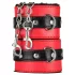Secret Pleasure Chest - Advanced BDSM Kit - 10‑Piece (Red)