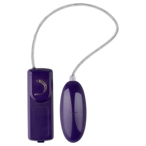 LoveBoxxx Super Sexy - Vibrator Set (9 Pieces)