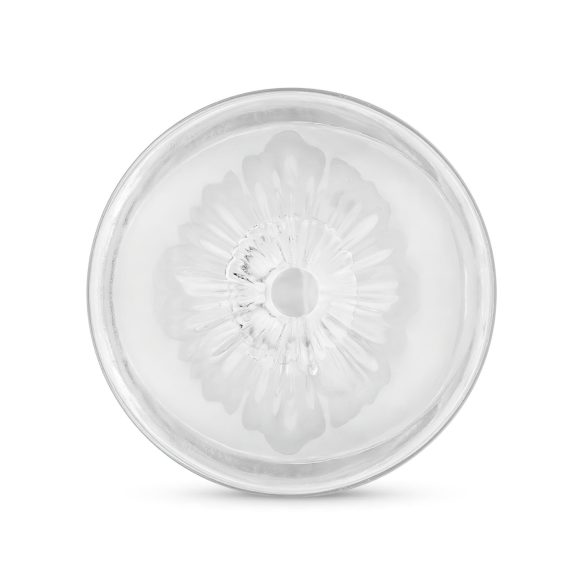 FPPR. - double-ended masturbator - vagina & anus (transparent)