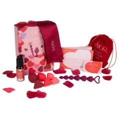 Dreamtoys Amour - anal training gift set (red)