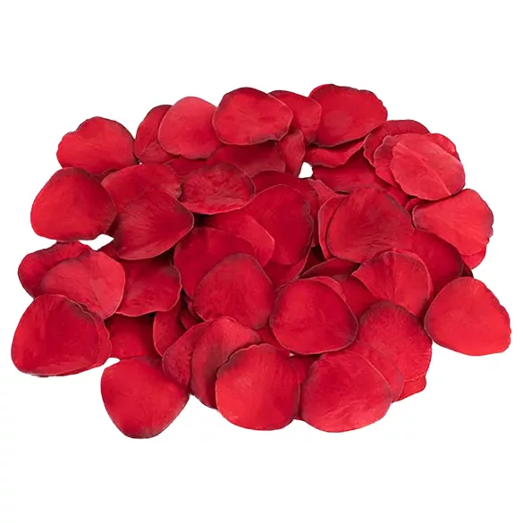 Dreamtoys Amour - Heart Vibrator Gift Set (Red)