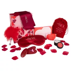 Dreamtoys Amour - knicker vibrator set (red)