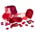 Dreamtoys Amour - knicker vibrator set (red)