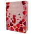 Dreamtoys Amour - knicker vibrator set (red)