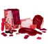 Dreamtoys Amour - wand vibrator set (red)