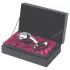 Njoy Pure Plug 2.0 - metal anal plug (silver)