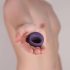 Je Joue Mio - Rechargeable Waterproof Vibrating Penis Ring (Purple)
